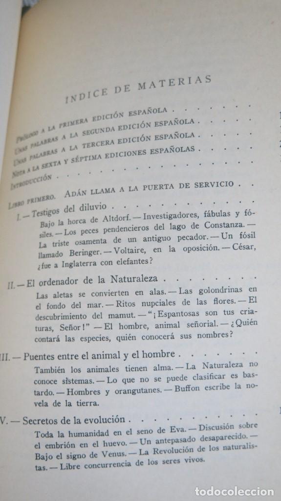 Libros de segunda mano: TRAS LAS HUELLAS DE AD&Aacute;N. EL ORIGEN DEL HOMBRE. HERBERT WENDT - Foto 2