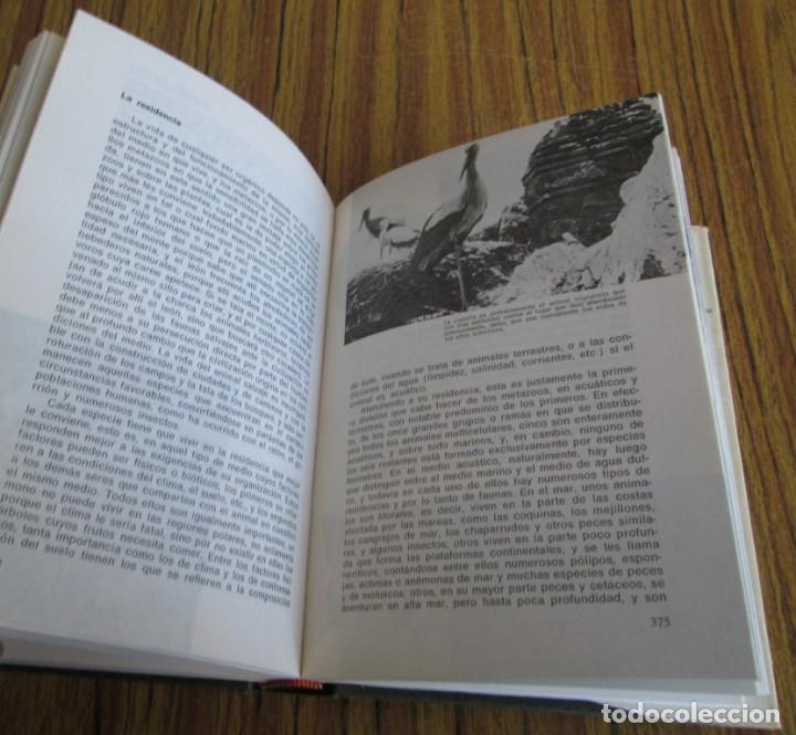 Libros de segunda mano: HISTORIA NATURAL - Edit. Ram&oacute;n Sopena 1974 - Foto 4