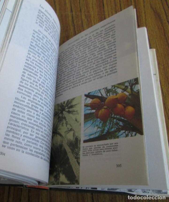 Libros de segunda mano: HISTORIA NATURAL - Edit. Ram&oacute;n Sopena 1974 - Foto 5