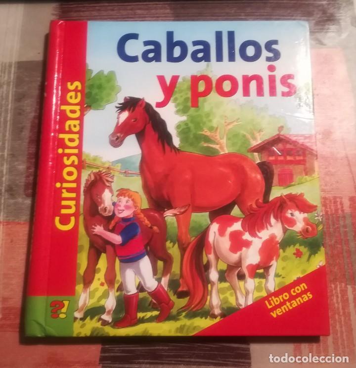 Libros de segunda mano: Caballos y ponis. Curiosidades - Libro con ventanas - Maria Lindele - Foto 1