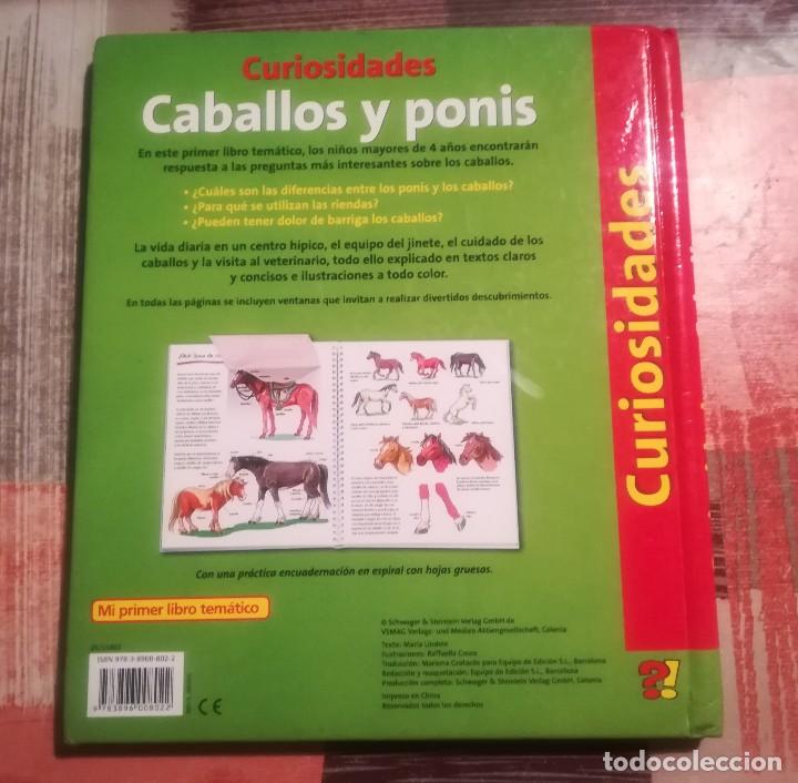 Libros de segunda mano: Caballos y ponis. Curiosidades - Libro con ventanas - Maria Lindele - Foto 2