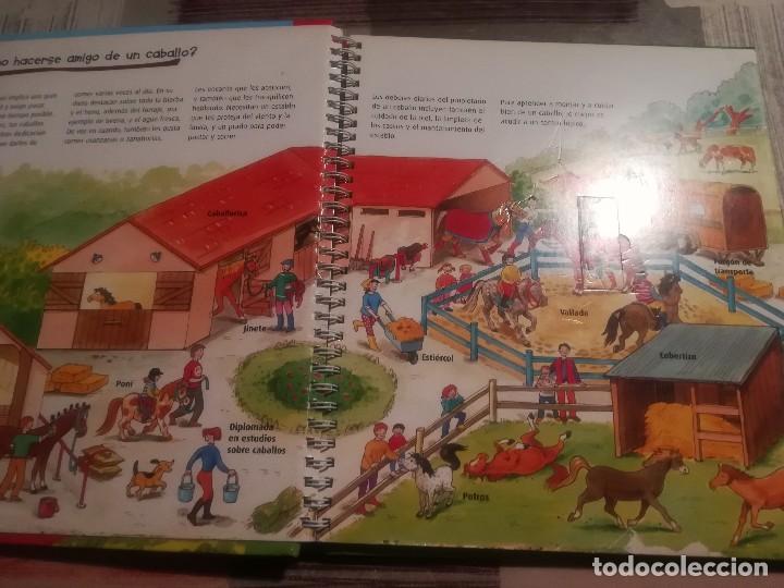 Libros de segunda mano: Caballos y ponis. Curiosidades - Libro con ventanas - Maria Lindele - Foto 3