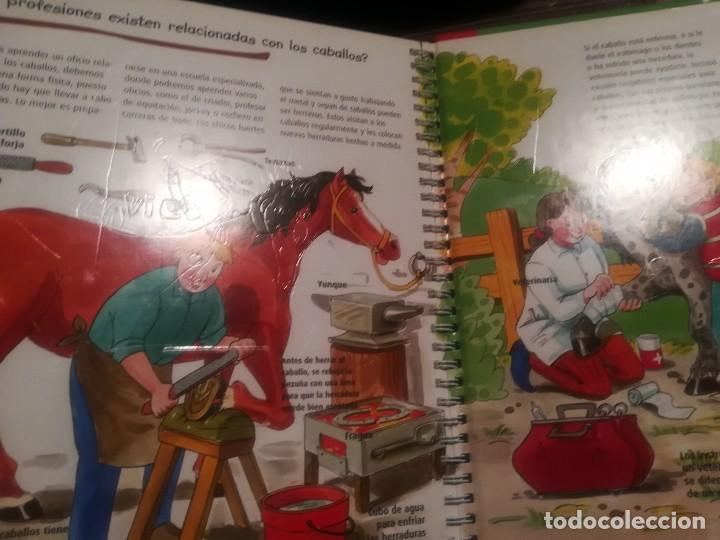 Libros de segunda mano: Caballos y ponis. Curiosidades - Libro con ventanas - Maria Lindele - Foto 5
