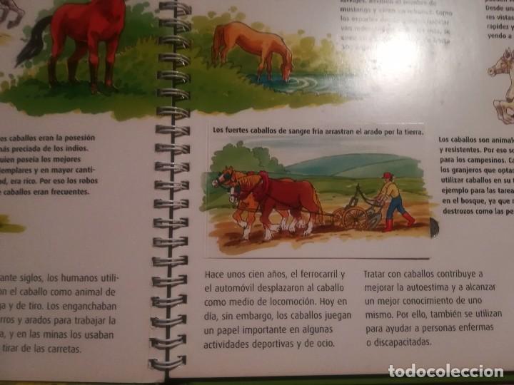 Libros de segunda mano: Caballos y ponis. Curiosidades - Libro con ventanas - Maria Lindele - Foto 9