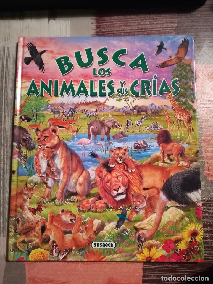 Libros de segunda mano: Busca los animales y sus cr&iacute;as - Francisco Arredondo - Foto 1