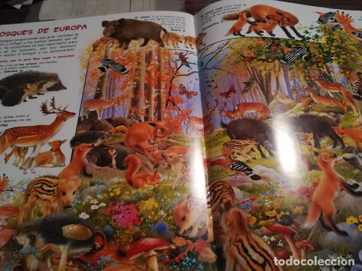 Libros de segunda mano: Busca los animales y sus cr&iacute;as - Francisco Arredondo - Foto 3