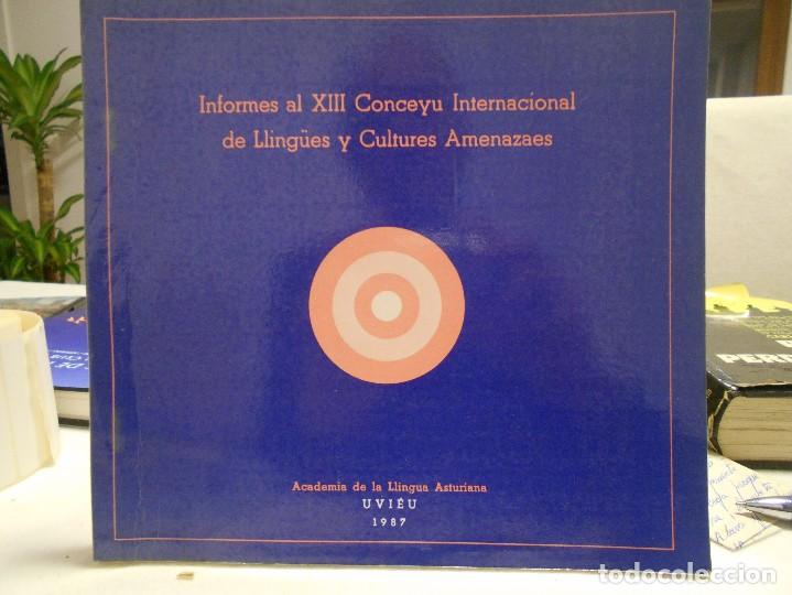 Livres d'occasion: INFORMES AL XIII CONCEYU INTERNACIONAL DE LLING&Uuml;ES Y CULTURES AMENAZAES. ACADEMIA DE LA LLINGUA ASTU