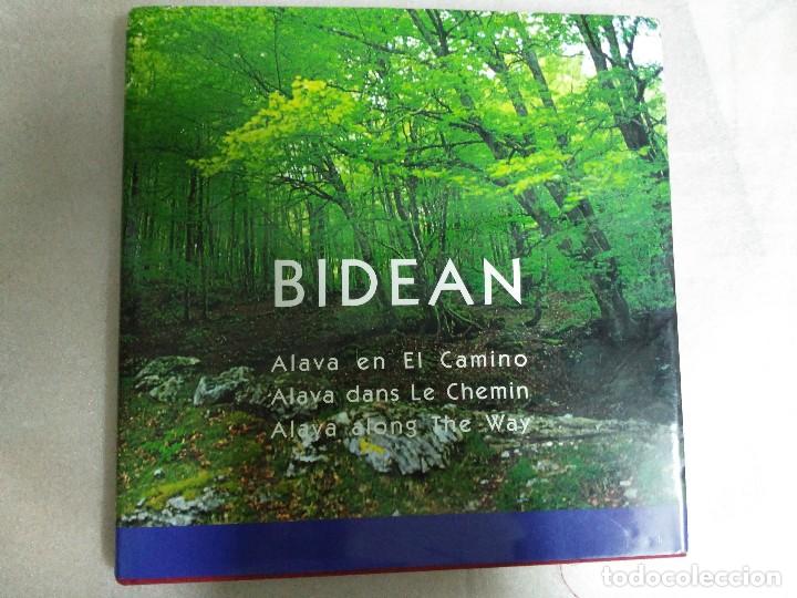 Libros de segunda mano: Araba Bidean = Alava En El Camino = Alava Dans Le Chemin - Foto 1