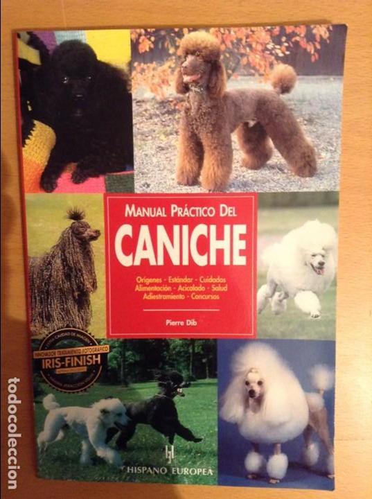 Libros de segunda mano: MANUAL PRACTICO DEL CANICHE (PIERRE DIB) - Foto 1