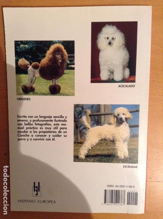 Libros de segunda mano: MANUAL PRACTICO DEL CANICHE (PIERRE DIB) - Foto 2