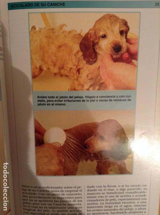 Libros de segunda mano: MANUAL PRACTICO DEL CANICHE (PIERRE DIB) - Foto 8