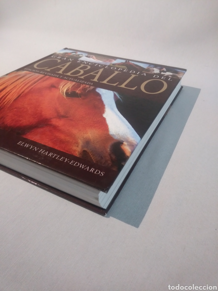 Libros de segunda mano: GRAN ENCICLOPEDIA DEL CABALLO - Foto 2