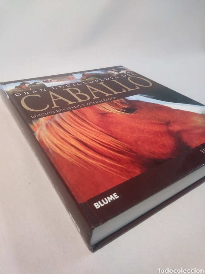 Libros de segunda mano: GRAN ENCICLOPEDIA DEL CABALLO - Foto 3