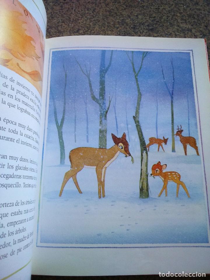 Libros de segunda mano: BAMBI - DISNEY -- CIRCULO 1995 -- - Foto 2