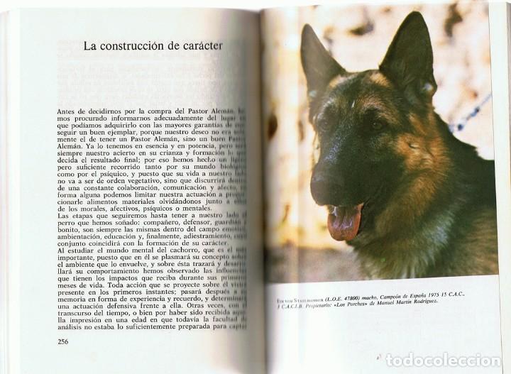 Libros de segunda mano: EL GRAN LIBRO DEL PERRO PASTOR ALEM&Aacute;N ALFONSO PACHECO - Foto 2