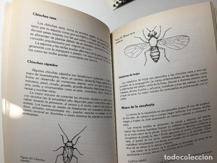 Libros de segunda mano: PLAGAS DEL CAMPO - Control biol&oacute;gico - Foto 3