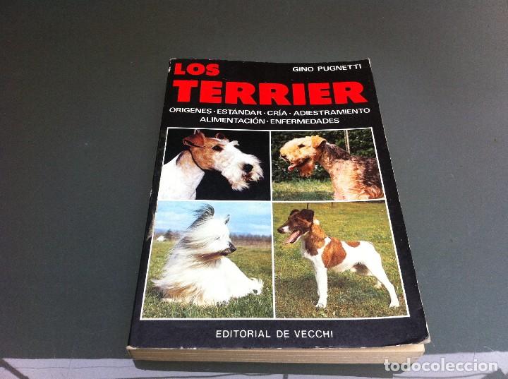 Libros de segunda mano: GINO PUGNETTI.  LOS TERRIER.  Ed. DE VECCHI, 1984 - Foto 1