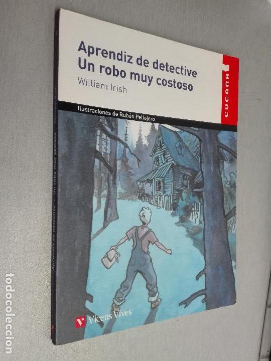 Libro Aprendiz De Detective Un Robo Muy Costoso Pdf