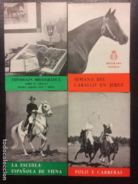 Libros de segunda mano: SEMANA DEL CABALLO EN JEREZ, INCLUYE 6 PROGRAMAS ORIGINALES, 1954 - Foto 2