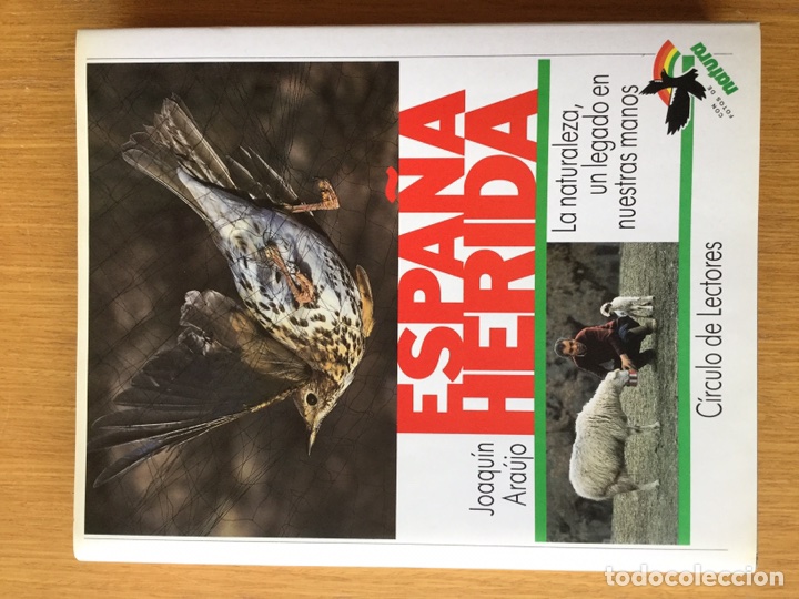 Libros de segunda mano: Espa&ntilde;a herida - Foto 1