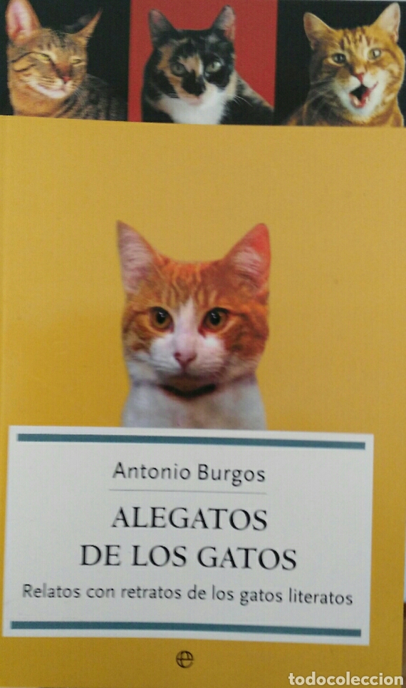 Second hand books: Alegatos de los gatos Antonio Burgos