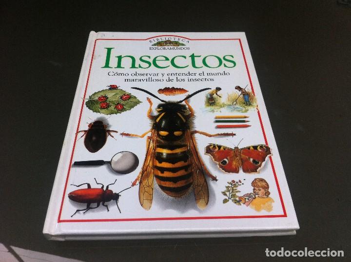 Libros de segunda mano: STEVE PARKER.  INSECTOS.  Ed. EDICIONES SM, 1992 - Foto 1