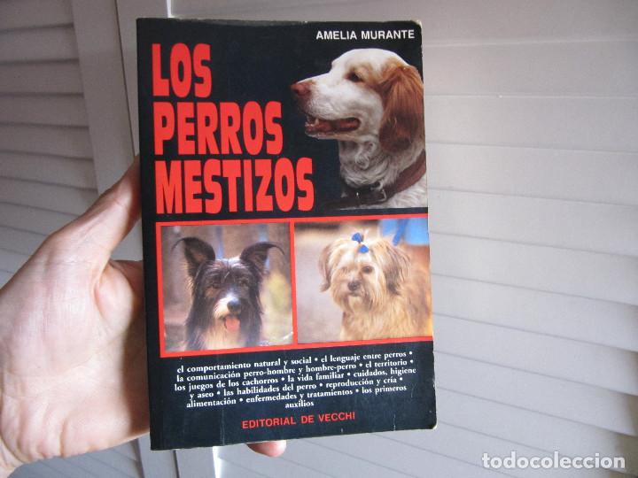 Libros de segunda mano: LOS PERROS MESTIZOS AMELIA DURANTE-EDITORIAL VECCHI - Foto 1
