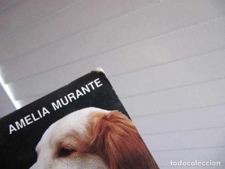 Libros de segunda mano: LOS PERROS MESTIZOS AMELIA DURANTE-EDITORIAL VECCHI - Foto 2
