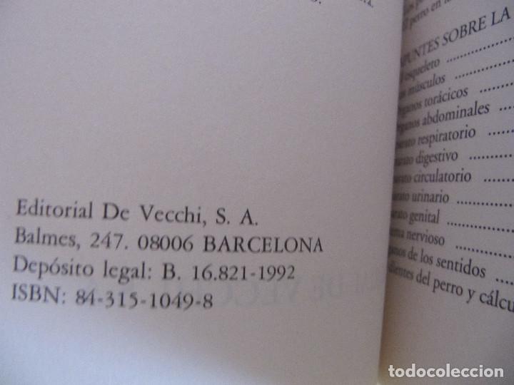 Libros de segunda mano: LOS PERROS MESTIZOS AMELIA DURANTE-EDITORIAL VECCHI - Foto 3