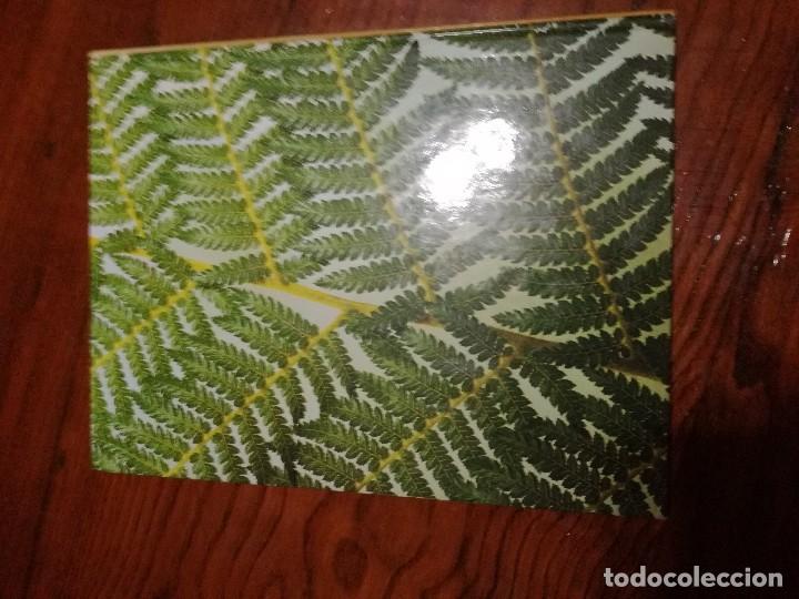 Libros de segunda mano: Manual Pr&aacute;ctico para el cuidado de las Plantas de Interior.WILLIAM DAVIDSON - Foto 2