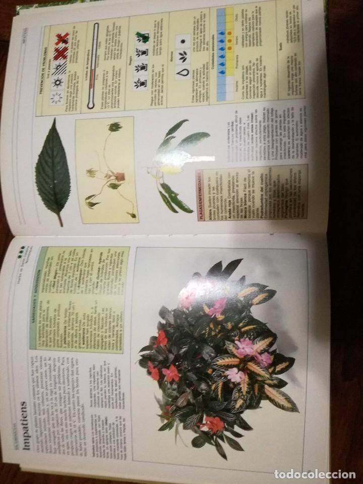 Libros de segunda mano: Manual Pr&aacute;ctico para el cuidado de las Plantas de Interior.WILLIAM DAVIDSON - Foto 3
