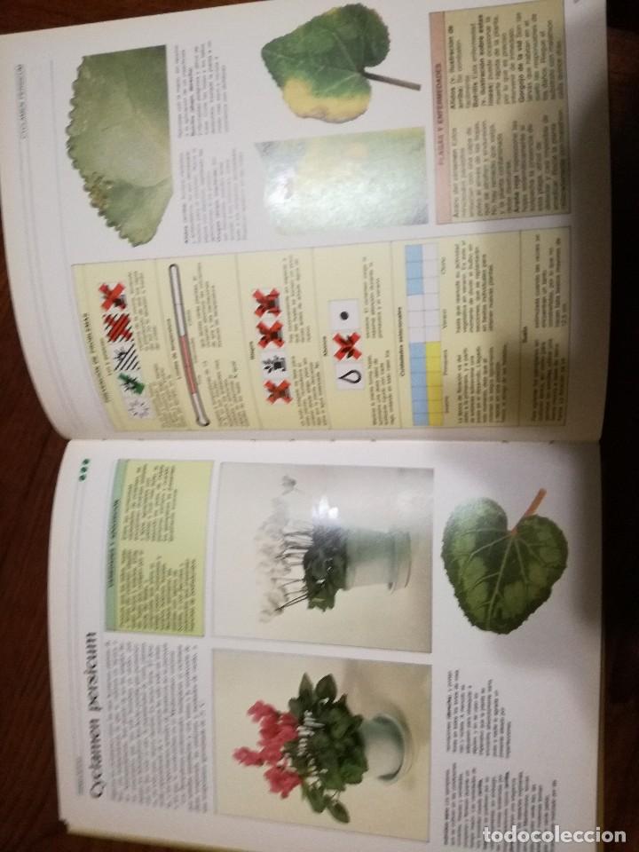 Libros de segunda mano: Manual Pr&aacute;ctico para el cuidado de las Plantas de Interior.WILLIAM DAVIDSON - Foto 4