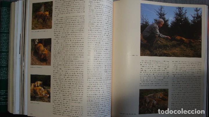 Libros de segunda mano: La Caza. KURT G. BL&Uuml;CHEL - Foto 3