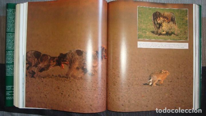 Libros de segunda mano: La Caza. KURT G. BL&Uuml;CHEL - Foto 5
