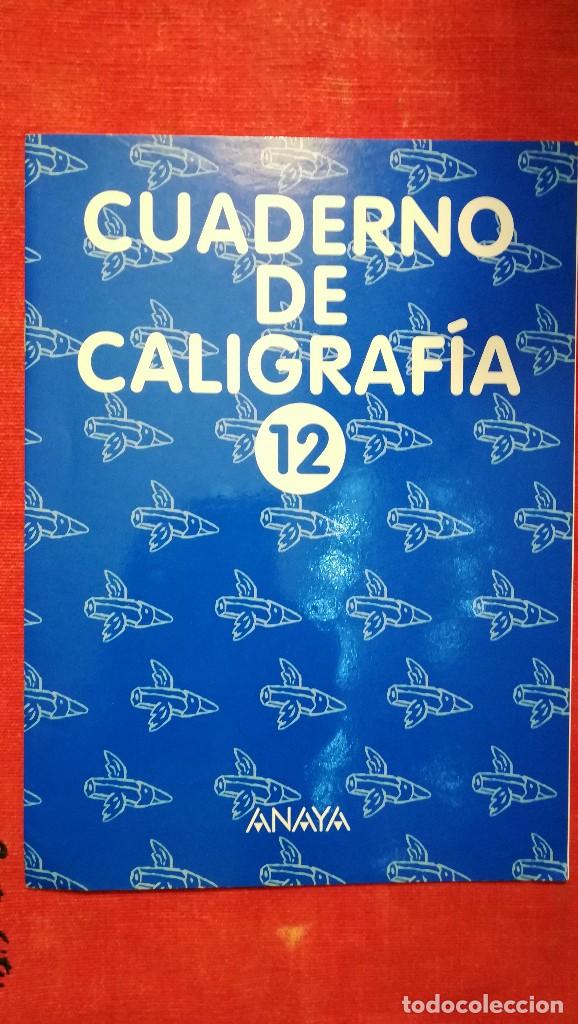 Libros de segunda mano: CUADERNO DE CALIGRAF&Iacute;A 12 EDITORIAL ANAYA-2000 - Foto 1