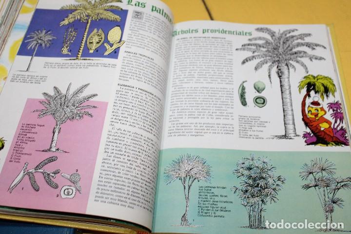 Libros de segunda mano: 2 TOMOS EL LIBRO GORDO DE PETETE -A&Ntilde;OS 80 - Foto 4