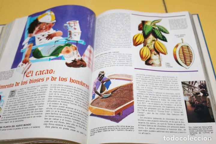 Libros de segunda mano: 2 TOMOS EL LIBRO GORDO DE PETETE -A&Ntilde;OS 80 - Foto 8
