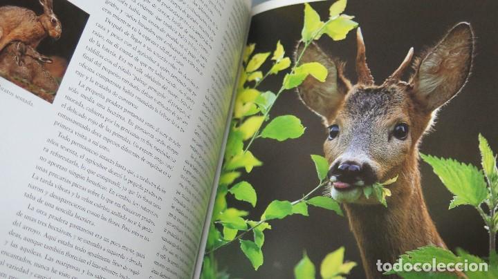 Libros de segunda mano: LA CAZA. KURT G. BL&Uuml;CHEL - Foto 4