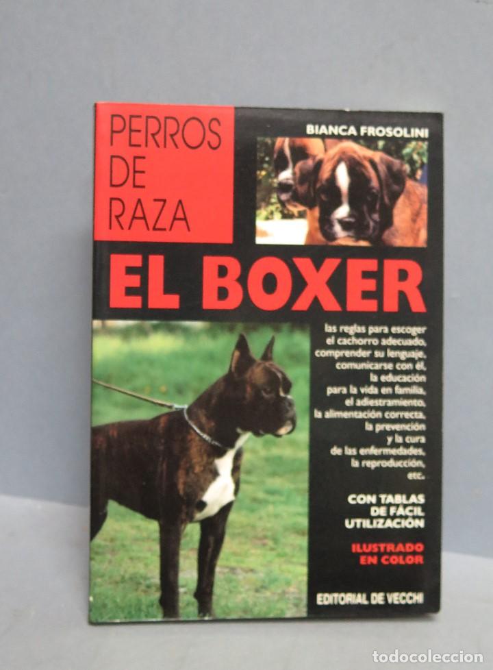 Libros de segunda mano: EL BOXER. BIANCA FROSOLINI - Foto 1