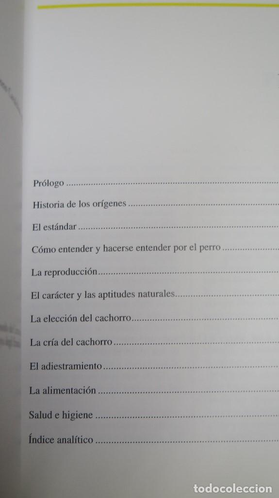 Libros de segunda mano: EL BOXER. BIANCA FROSOLINI - Foto 2