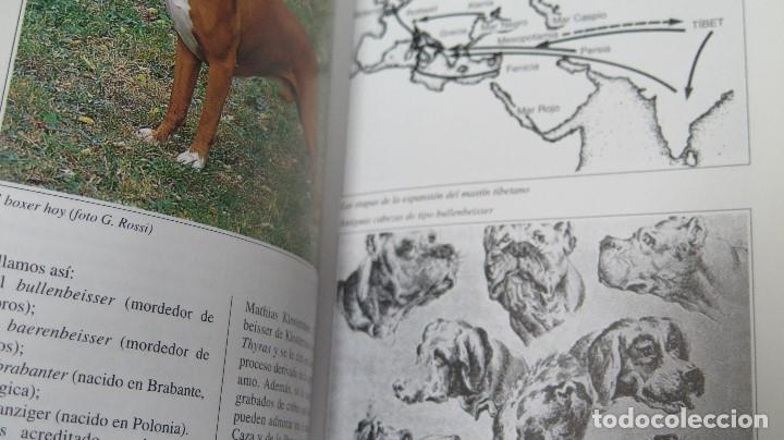 Libros de segunda mano: EL BOXER. BIANCA FROSOLINI - Foto 4