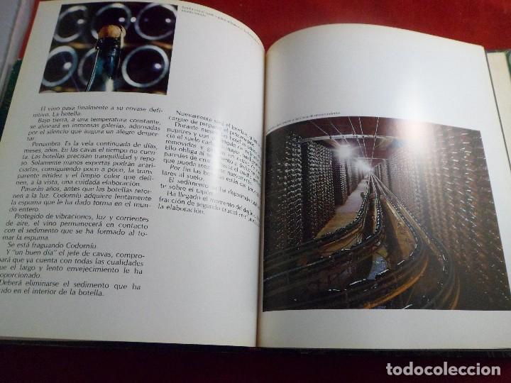 Libros de segunda mano: IMAGEN Y PRESENCIA DE CODORNIU 1551/1872 - Foto 3