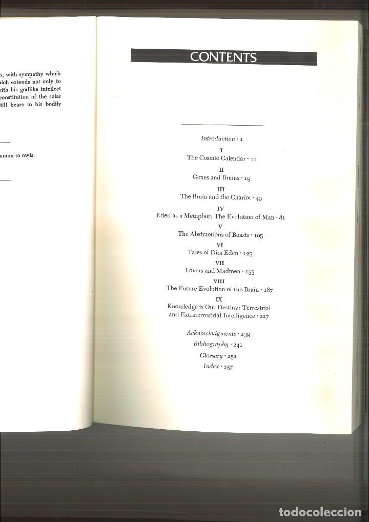 Libros de segunda mano: THE DRAGONS OF EDEN. Carl Sagan - Foto 3