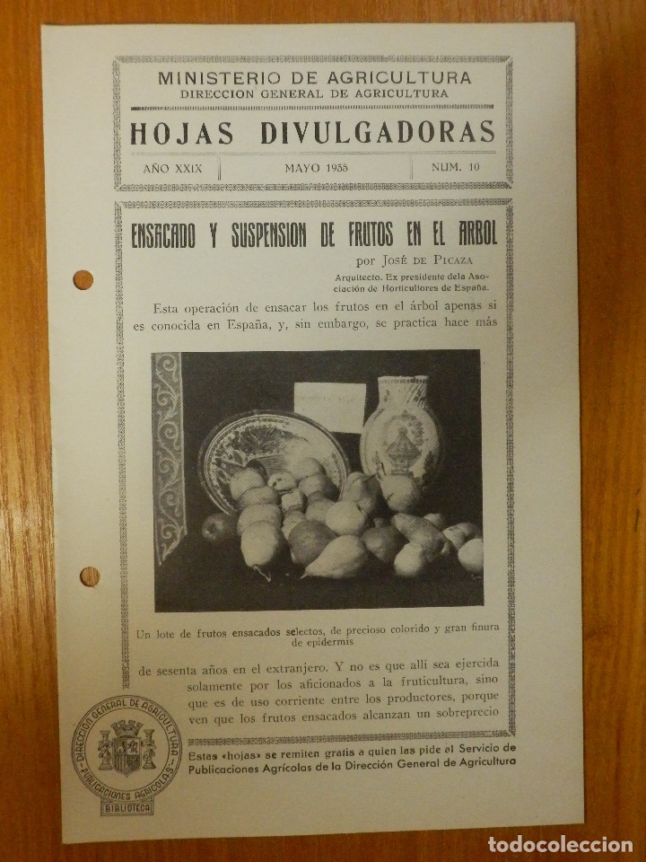 Libros de segunda mano: HOJAS DIVULGADORAS MINISTERIO AGRICULTURA 1935 Nº 10 - AÑO XXIX ENSACADO SUSPENSION DE FRUTOS ARBOL - Foto 1 - 114749384