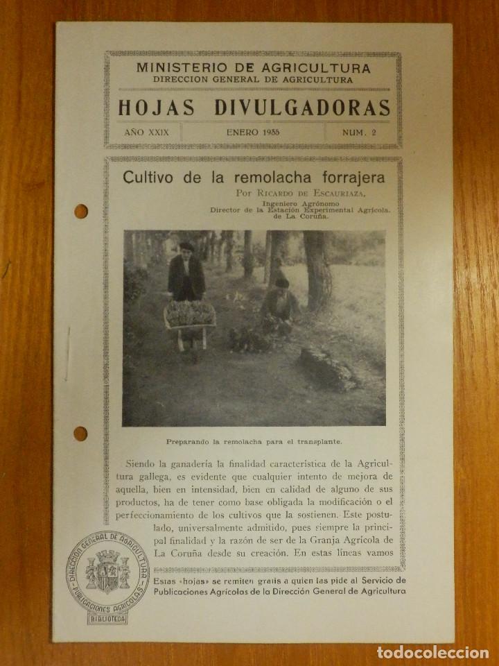 Libros de segunda mano: HOJAS DIVULGADORAS MINISTERIO AGRICULTURA - 1935 Nº 2 - AÑO XXIV - Cultivo Remolacha Forrajera - Foto 1 - 114796523