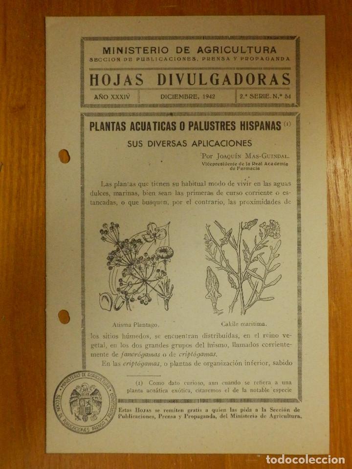 Libros de segunda mano: HOJAS DIVULGADORAS MINISTERIO AGRICULTURA - 1942 Nº 54 AÑO XXXIV - PLANTAS ACUATICAS O PALUSTRES HIS - Foto 1 - 114798175