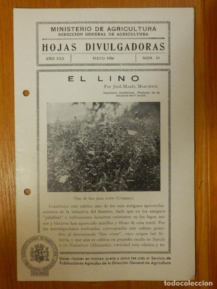 HOJAS DIVULGADORAS MINISTERIO AGRICULTURA - 1936 Nº 10 AÑO XXX - EL LINO (Libros de Segunda Mano - Ciencias, Manuales y Oficios - Otros)