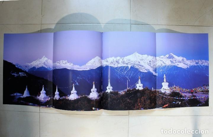 Libros de segunda mano: Libro Homenaje a Asia. Olivier F&ouml;llmi. 2008 - Foto 4