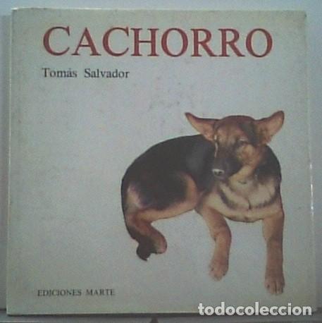 Libros de segunda mano: Cachorro, de Tom&aacute;s Salvador. Primera edici&oacute;n - Foto 1