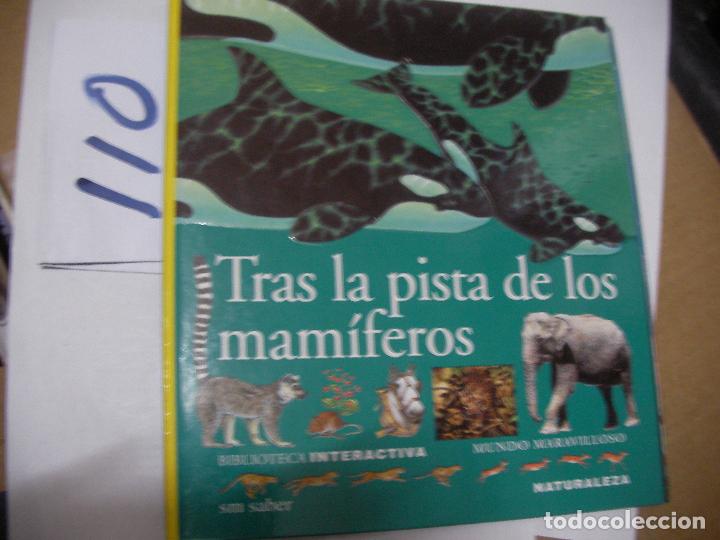 Libros de segunda mano: TRAS LA PISTA DE LOS MAMIFEROS, CON DESPLEGABLES